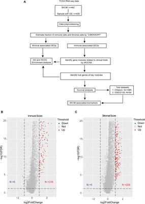 Identification of Potential Prognostic Biomarkers Associated With Cancerometastasis in Skin Cutaneous Melanoma